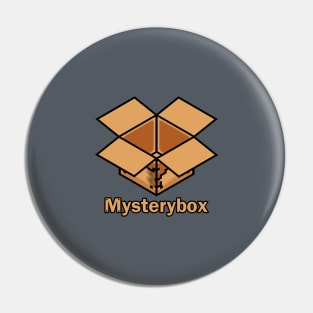 Mysterybox Pin