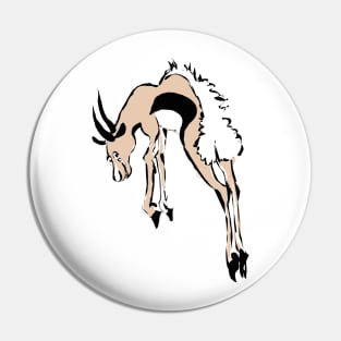 Springbok Pin