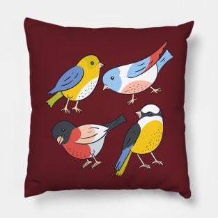 Bird Hand Drawn Colorful Pillow