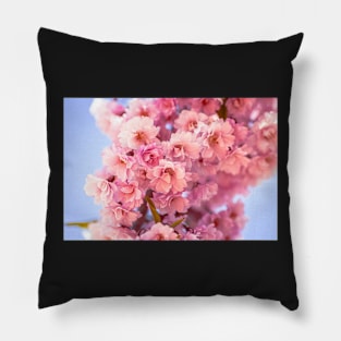 Bunch of cherry blossoms Pillow