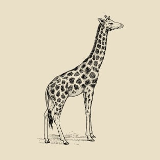 Giraffe T-Shirt