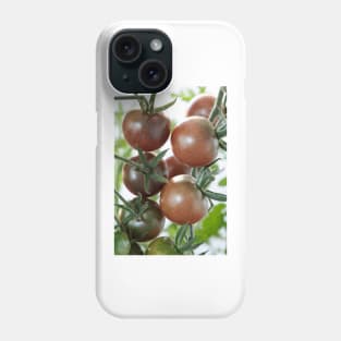 Solanum lycopersicum  &#39;Black Cherry&#39;  Cherry tomato Phone Case