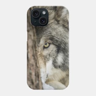 Timber Wolf - Closeup Phone Case