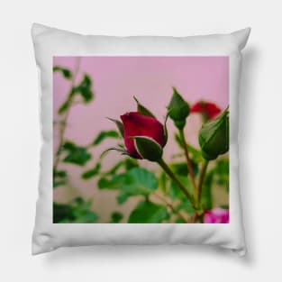 Red Rose Under The Pink Sky Pillow