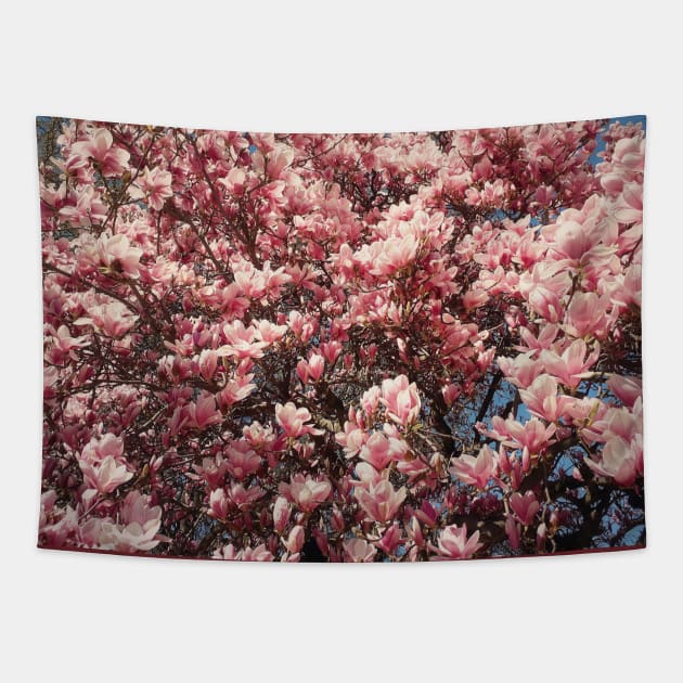 magnolia flowers Tapestry by psychoshadow