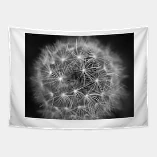 Dandelion Tapestry