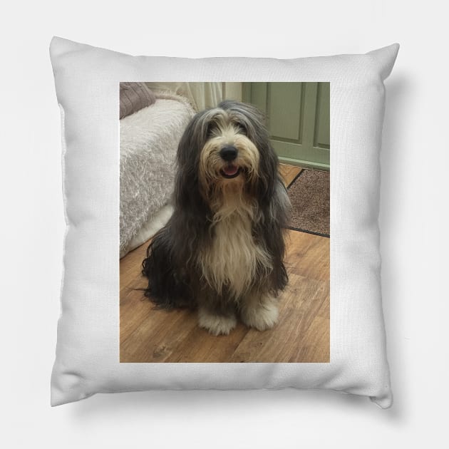 Bearded Collie - Good Boy Beardie Pillow by Bucklandcrafts