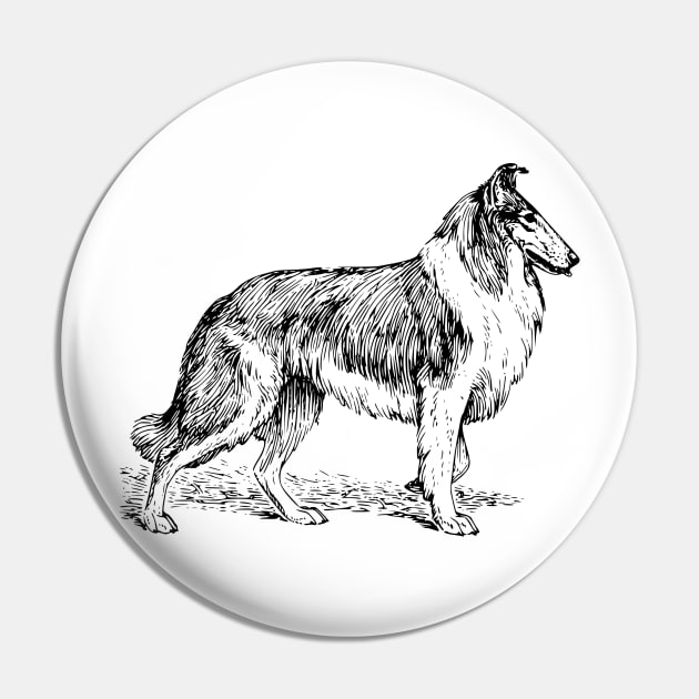 Collie Pin by Netdweller