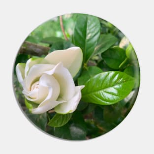 Gardenia flower Pin