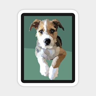 Terrier beagle cute dog 2 Magnet