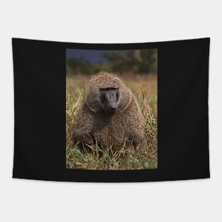 Male Olive Baboon Tapestry