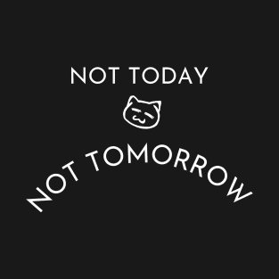 Funny Lazy Cat Not Today Not Tomorrow T-Shirt