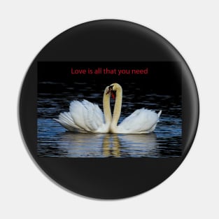 Love is all that you need Pin