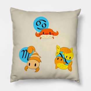 Water Star Signs of the Zodiac Pillow