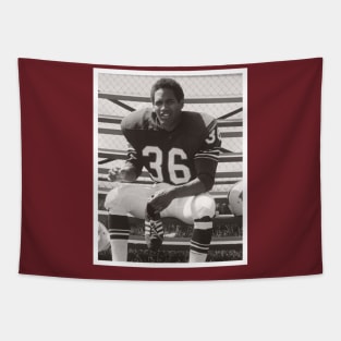 O.J. Simpson Tapestry