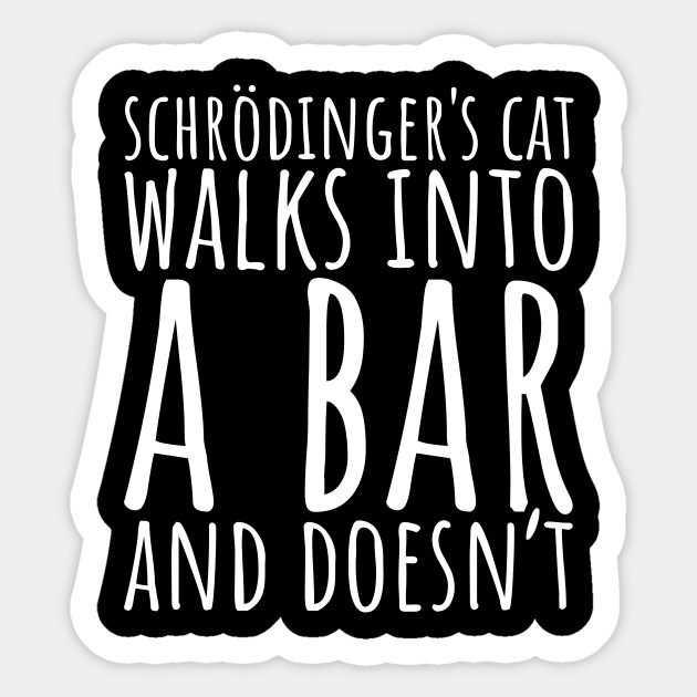 Schrodinger S Cat Walks Into A Bar And Doesn T Physics Joke