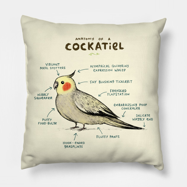 Anatomy of a Cockatiel