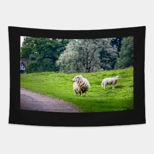 Sheep Tapestry