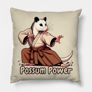 Aikido possum Pillow