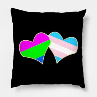 Gender and Sexuality Pillow