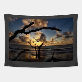 Driftwood Beach Jekyll Island Tapestry