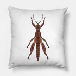 Male Lord Howe stick insect (Dryococelus australis) Pillow