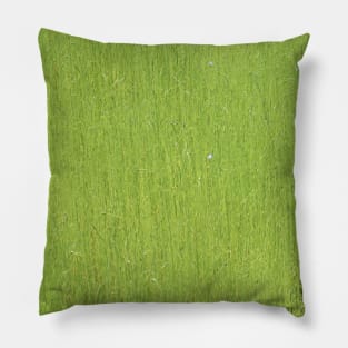 Green Green Grass Pillow