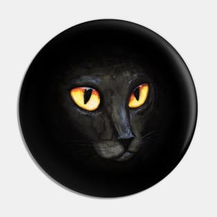 Black cat's eyes Pin