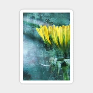 Dandelion distressed Magnet