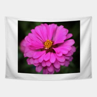 Summer Pink Zinnia Tapestry