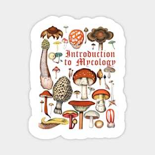 An Introduction to Mycology Magnet