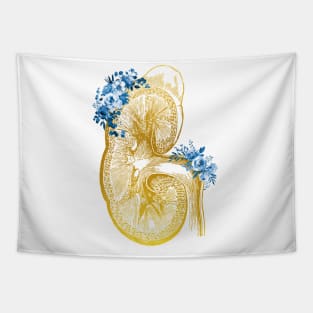 Kidney section Tapestry