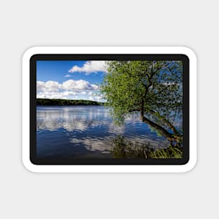 Beautiful Rice Lake Magnet