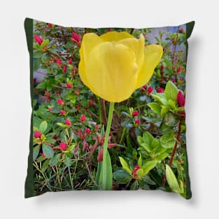 Yellow Tulip Pillow