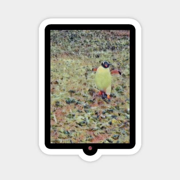 Antarctica penguin  walk Magnet by FirstClassQueen