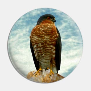 Sparrow hawk Pin