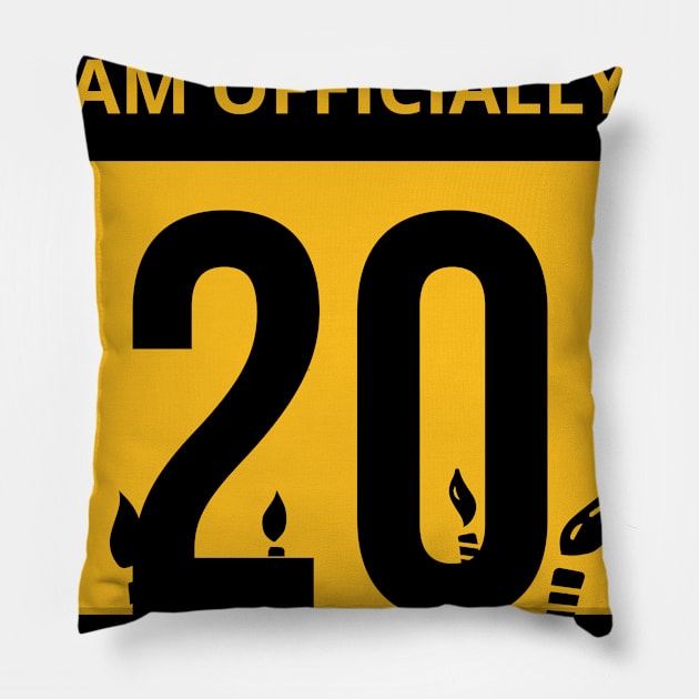 20th Birthday Officially a quarantined adult 20 Years Old Pillow by heidiki.png