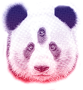 Oso panda FAce Magnet