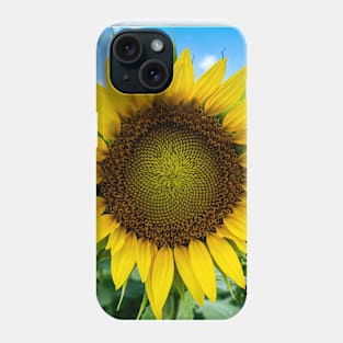 Sun-kissed Sunflower Phone Case