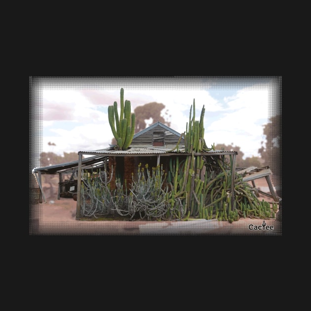 Fields Cactus Garden & Trichocereus Validus by Cactee