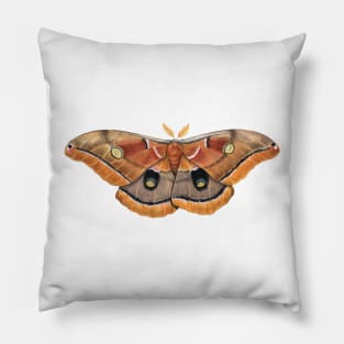 Polyphemus Moth Pillow