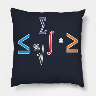 Mathematical Formulas Pillow