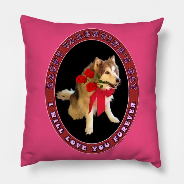 Happy Valentines Day - I Will Love You Forever or Furever - Pink Purple Roses With Wolf Dog Pillow by CDC Gold Designs