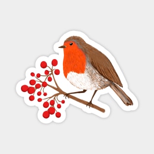 European Robin Winter Bird Magnet