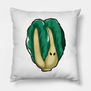 Handsome cabbage Pillow