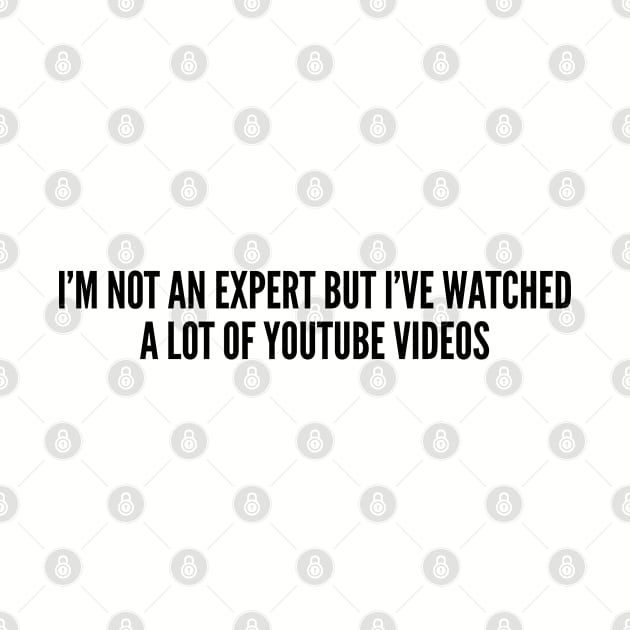 Funny - I'm Not An Expert But I've Watched A Lot Of Youtube Videos - Funny Joke Statement Humor Slogan by sillyslogans