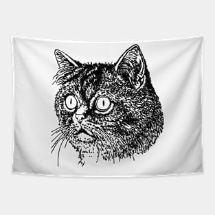 Cat for women funny kitty cat head for girls and boys Tapestry