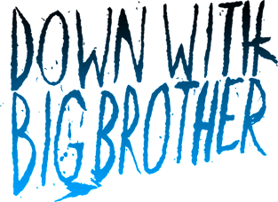 Down With Big Brother II Magnet