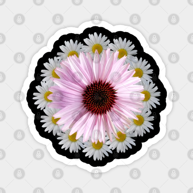 coneflower flowers daisies coneflowers daisy blooms floral Magnet by rh_naturestyles