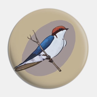 Wire tailed swallow illustration Pin